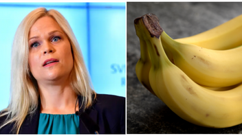 Jämställdhetsminister Paulina Brandbergs (L) team hävdade bananallergi i 44 mejl. Nu bekräftar hennes pressekreterare att det handlar om en fobi. Foto: Jonas Ekströmer/Janerik Henriksson/TT