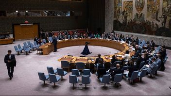 FN:s säkerhetsråd ska rösta om palestinskt FN-medlemskap. Foto: Yuki Iwamura/AP/TT