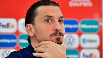 Zlatan var inte nöjd efter förlusten mot Georgien. Foto: Jonas Ekströmer/TT