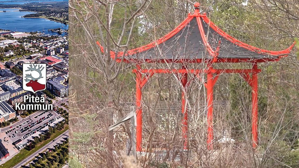 Parkchefen i Piteå lät personalen bygga en japansk paviljong i hennes privata trädgård. Foto: Wikicommons och SVT