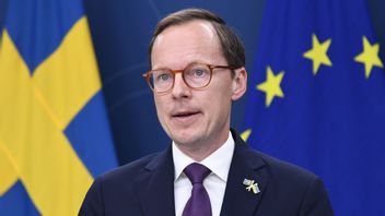 Utbildningsminister Mats Persson (L). Foto: 	Lars Schröder/TT