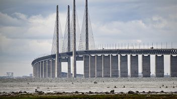 Danmark förlänger sina gränskontroller efter koranbränningarna. Arkivbild. Foto: Johan Nilsson/TT 