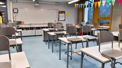 Flera elever har upplevt att inlärningen blivit sämre på distans. Foto: Jonas Ekströmer/TT