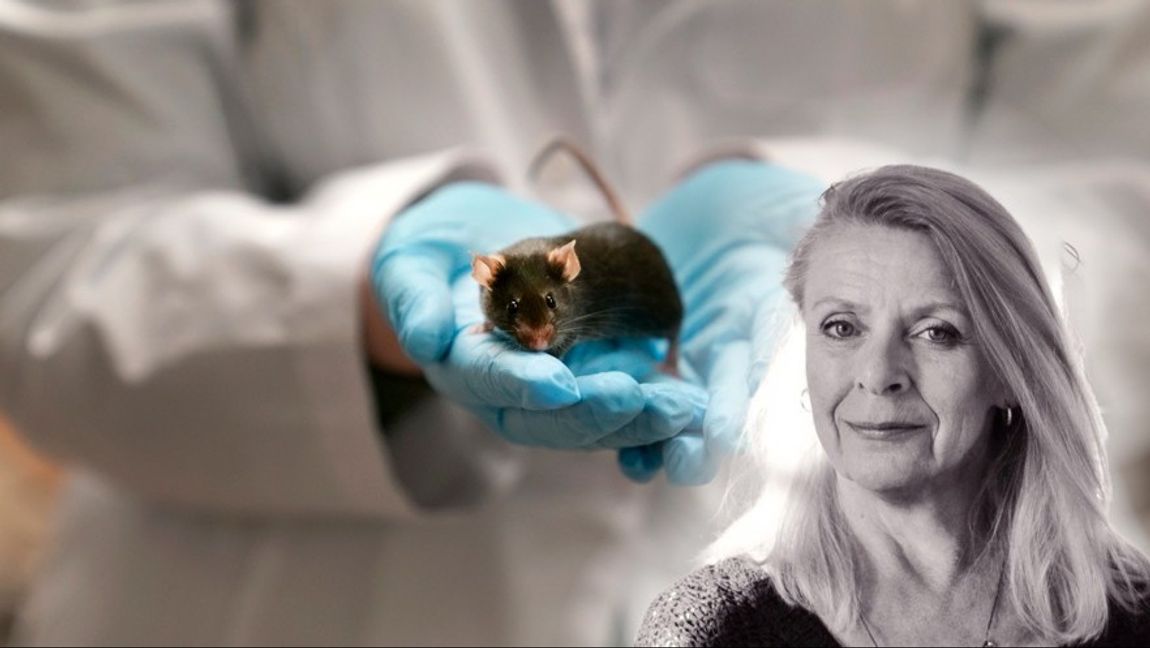 WRAAAH! Död åt Israel! RAARH! Foto: Jeff Roberson / TT