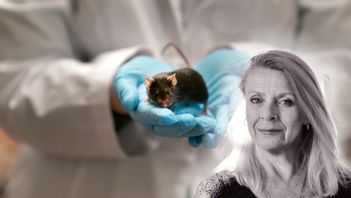 WRAAAH! Död åt Israel! RAARH! Foto: Jeff Roberson / TT