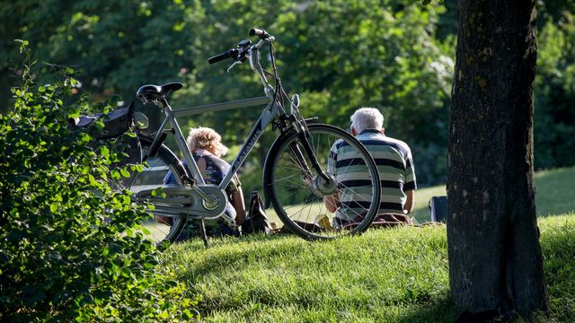 Högre risk för att bli magsjuk under sommaren beror bland annat på att vi äter mer utomhus och slarvar med livsmedelshygienen, enligt Statens veterinärmedicinska anstalt. Foto: Christine Olsson/TT