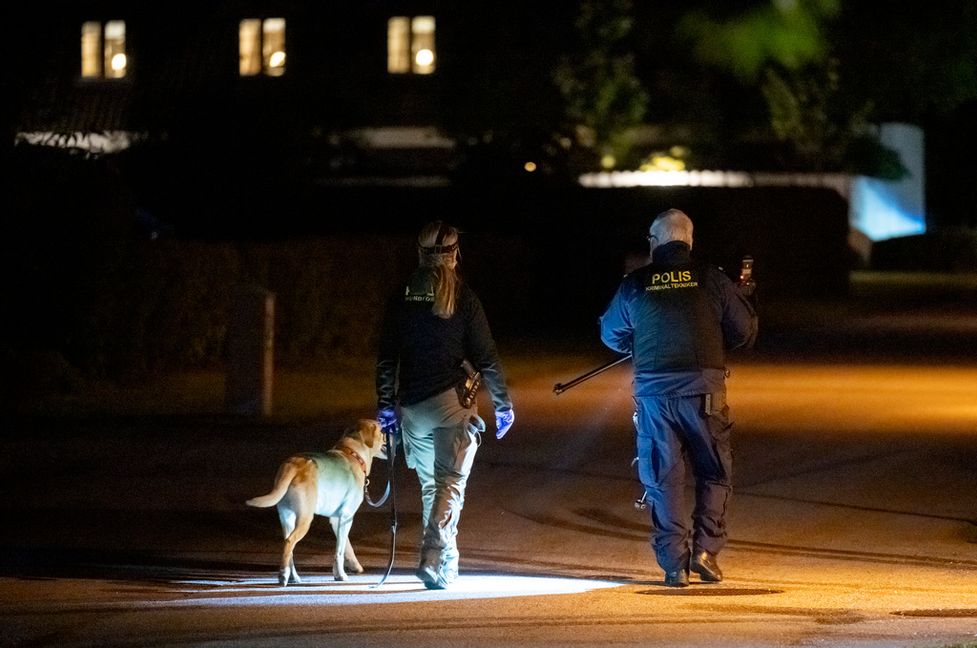 Polisens hundförare har larmat om att hundarna mår dåligt under transport. Arkivbild. Foto: Johan Nilsson/TT