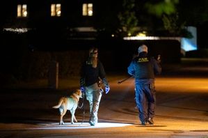 Polisens hundförare har larmat om att hundarna mår dåligt under transport. Arkivbild. Foto: Johan Nilsson/TT