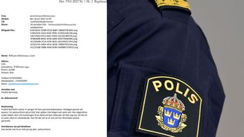 JO-anmälan mot Fredrik Kärrholm och polisuniform. Foto: JO och Janerik Henriksson//TT