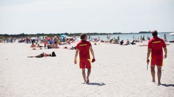 Foto: Andreas Hillergren/TT