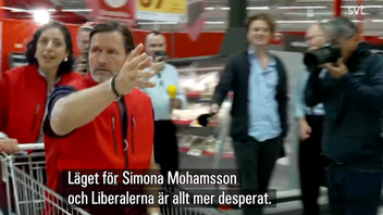 Liberalernas partiledare Simona Mohamsson drar igång en ovanlig valturné i jakt på fler röster. Här ses hon köra runt partikollegan Martin Melin i en kundvagn inne i en matbutik. Foto: Skärmdump via SVT
