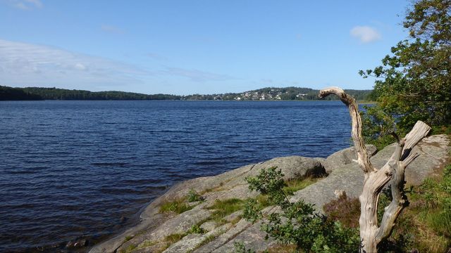 Rådasjön. Bild: R. Henrik Nilsson/CC BY-SA 4.0