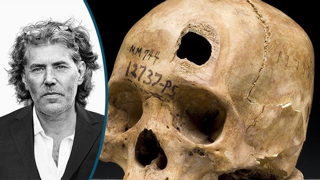 Gängkriminella ger sig numera på varandras släktingar. Foto: National Institutes of Health, Health & Human Services