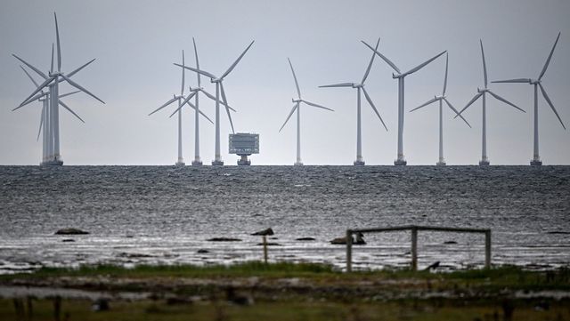 Havsbaserad vindkraft kan komma att få bära mer av sina kostnader. Foto: Johan Nilsson/TT