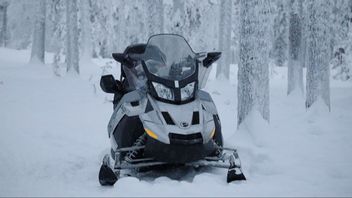 Genrebild. Foto: Pixabay.