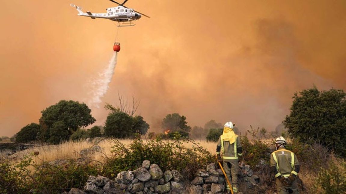 Genrebild. Foto: Cesar Manso/AFP/TT