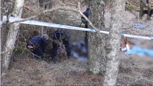 Polisen har spärrat av skogsområdet vid länsväg 255 i Odensala där Göran Forslöf och hans särbo gjorde det makabra fyndet. Foto: Utryckning Uppsala