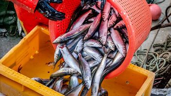 Arkivbild. Foto: Michael Probst/AP/TT