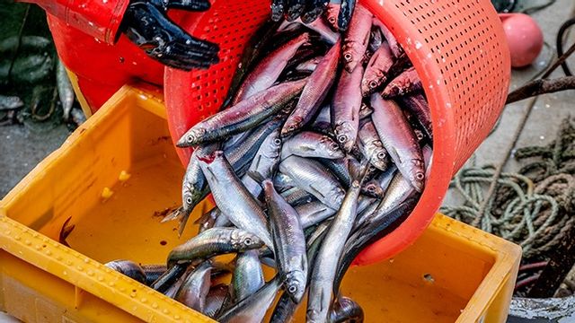 Arkivbild. Foto: Michael Probst/AP/TT