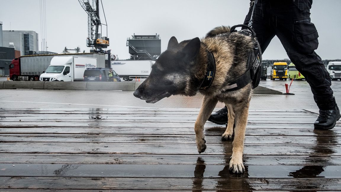 Förundersökning om mord har inletts sedan en man hittats i vattnet. Foto: Magnus Hjalmarson Neideman/SvD/TT (arkivbild)