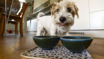 Genrebild. Foto: Leif R Jansson.