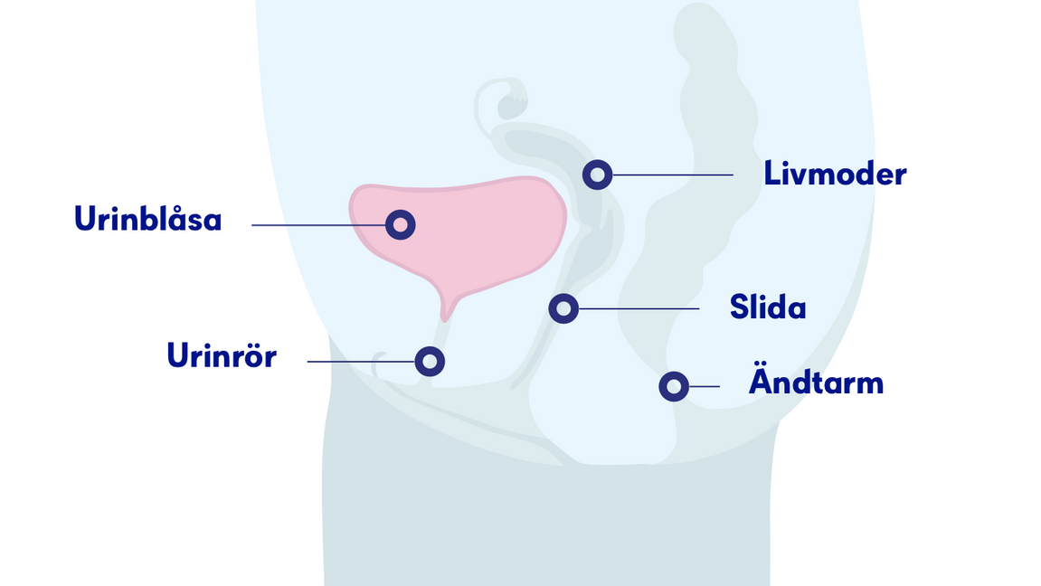 Metoden som forskarna utvecklat, går ut på att redan i samband med den första provtagningen mäta en immunologiskt aktiverande signalsubstans samt substansens receptor i tumörvävnaden för att avgöra vilka patienter som svarar på cellgiftsbehandling. Foto: Cancerfonden. 