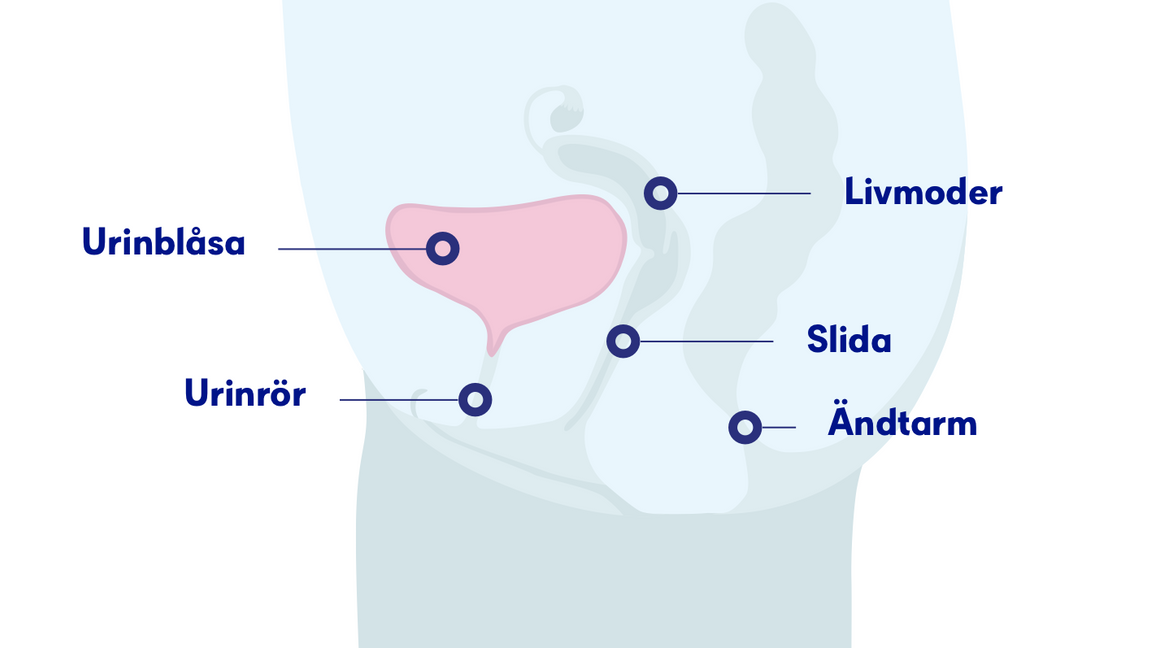 Metoden som forskarna utvecklat, går ut på att redan i samband med den första provtagningen mäta en immunologiskt aktiverande signalsubstans samt substansens receptor i tumörvävnaden för att avgöra vilka patienter som svarar på cellgiftsbehandling. Foto: Cancerfonden.