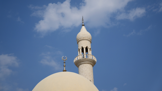 Det går bra för Sverige. Eller åtminstone för islamiseringen av Sverige. Foto: Nasser Nasser / TT