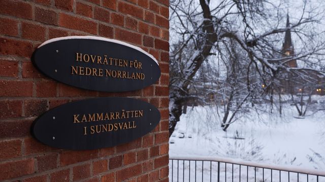 Foto: Mats Andersson/TT