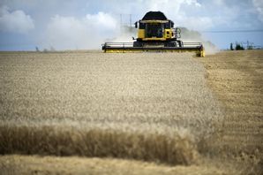 Lantmännen gör nytt rekordresultat för 2024. Foto: Björn Lindgren/TT