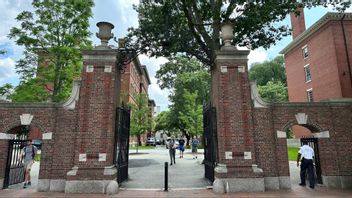 Harvard-universitetet i Cambridge, Massachusetts. Elituniversitetet får nu tillbaka sina frysta forskningsbidrag efter domstolsbeslut. Foto: Michael Casey/AP/TT