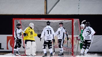 Sandvikens bandylag.
Foto: Erik Simander/TT.