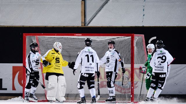 Sandvikens bandylag.
Foto: Erik Simander/TT.