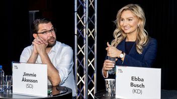 Jimmie Åkesson (SD) och Ebba Busch (KD) i fejd efter DN-intervju med Alice Teodorescu Måwe. Foto: Christine Olsson/TT