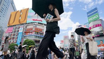 Lågskatteländer som Japan har bättre välfärd enligt ny bok. Foto: AP