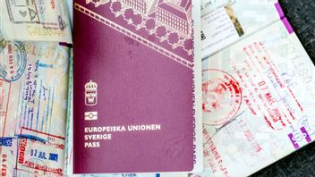  Foto: Fotograferna Holmberg/TT