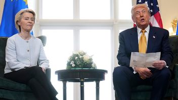 Ursula von der Leyen och Donald Trump. Foto: AP