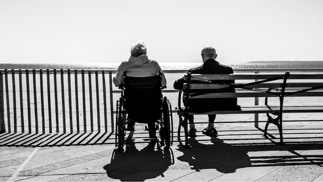 Välfärdslandet Sverige tackar sina skapare på märkliga sätt. Foto: Bruno Aguirre, Unsplash