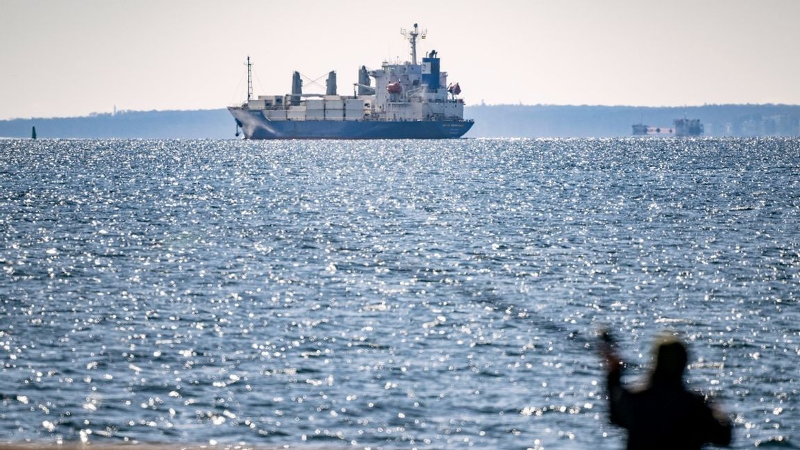 Kokainligor utnyttjar den bristande säkerheten i Helsingborgs hamn. Foto: Johan Nilsson/TT