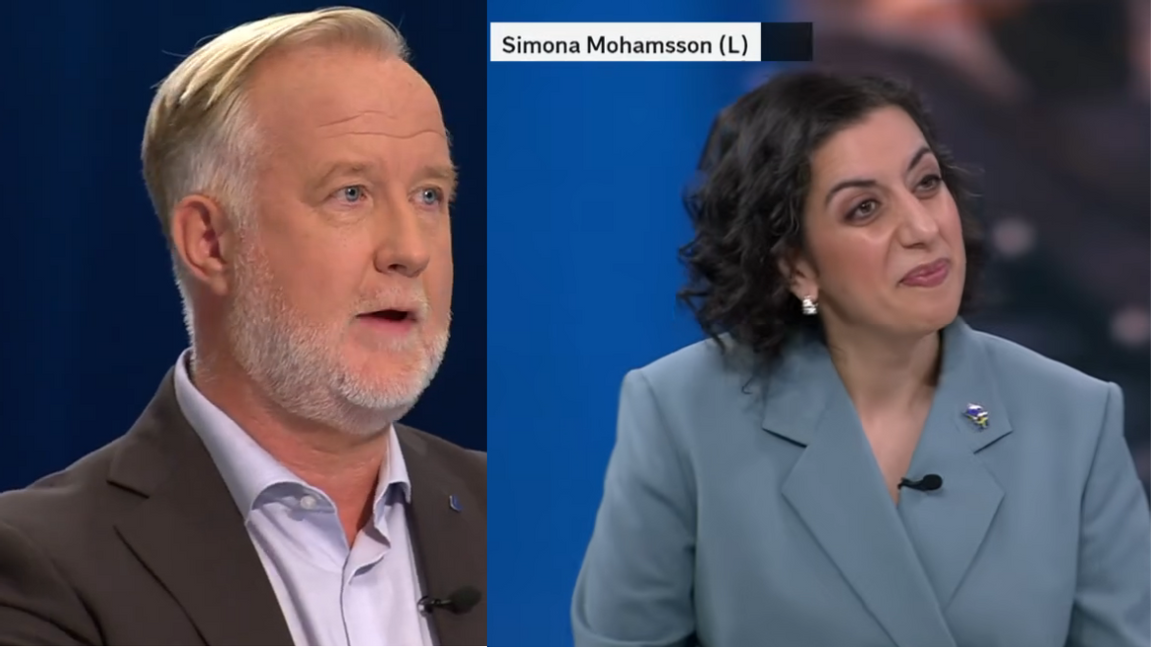 Fakismil SVT / Youtube