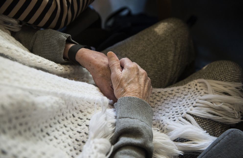 Arkivbild. Foto: Fredrik Sandberg/TT