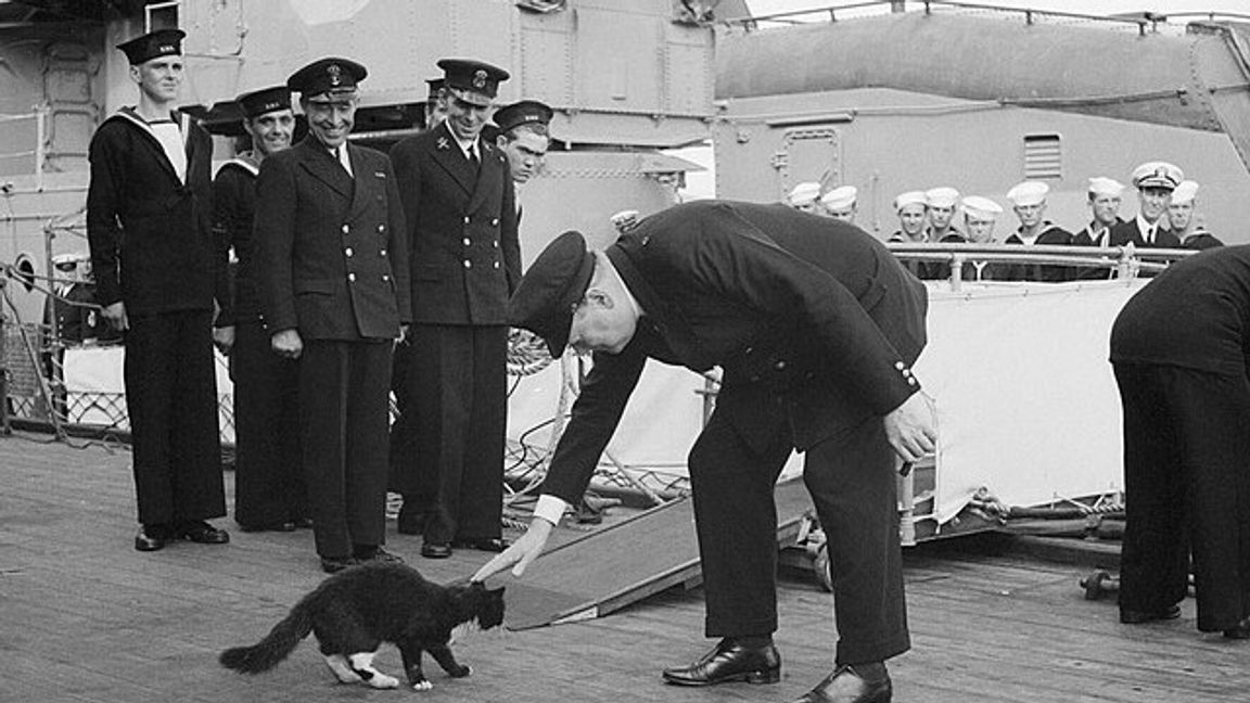 Storbritanniens premiärminister Winstor Churchill klappar en katt under andra världskriget. Foto: Wikipedia