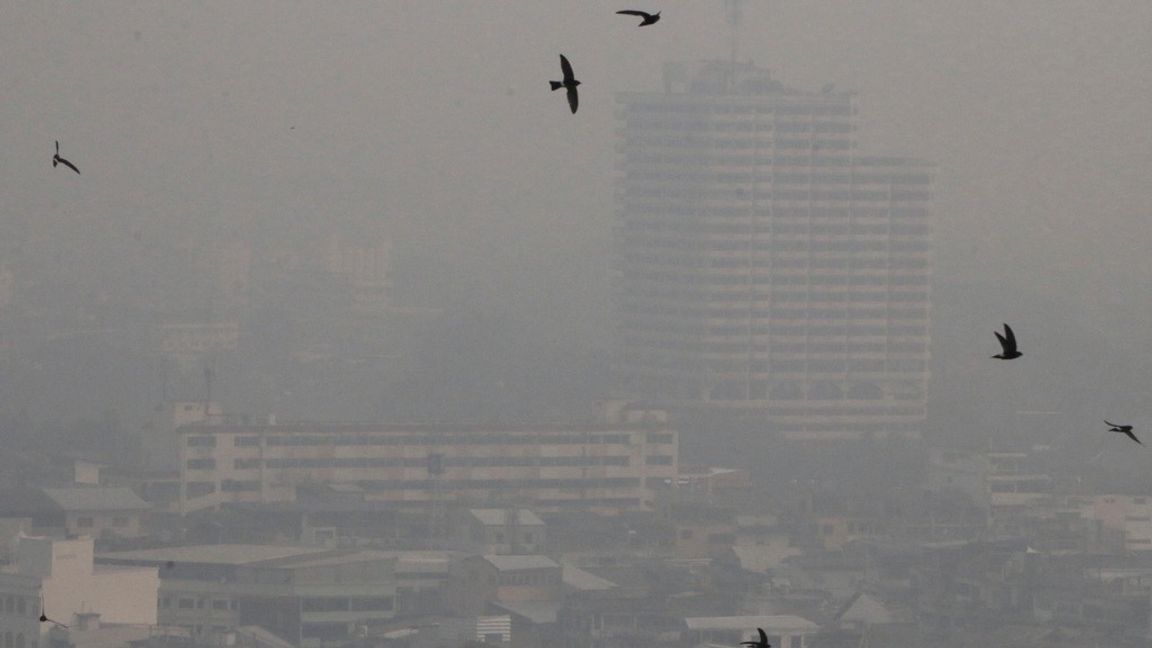 Smog i Chiang Mai i torsdags. Foto: Wichai Taprieu/TT