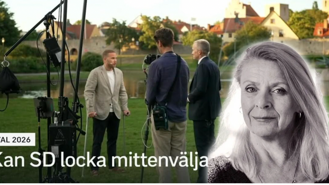 Henrik Vinge och Anders Holmberg i Almedalen – SD-politikern stod stadigt trots kryckor. Foto: Privat/Skärmdump via SVT