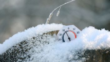 Vinterkylan kommer att leda till skyhöga elpriser i vinter. Foto: Anders Wiklund / TT