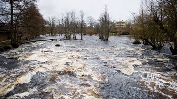 Mörrumsån, ett par kilometer från där tonårspojken valde att hoppa i. Arkivbild. Foto: TT.