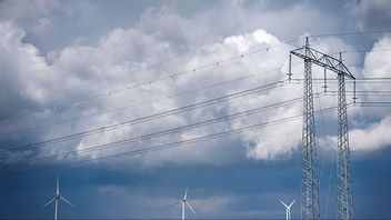 Bild: Johan Nilsson/TT