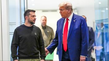 Volodymyr Zelenskyj och Donald Trump i ett tidigare möte. Foto: AP