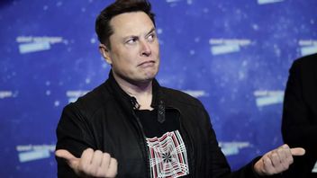 Det stormar kring Elon Musk. Foto: Hannibal Hanschke/AP.