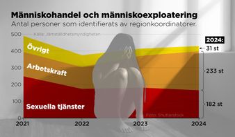 Antal personer utsatta för människohandel och människoexploatering som identifierats av regionkoordinatorer, 2021–2024. Foto: Anders Humlebo/TT